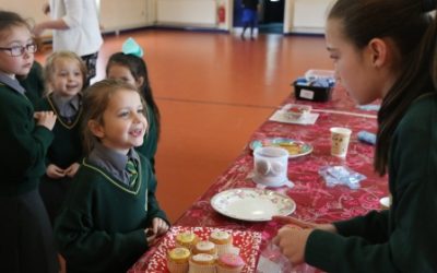 Coiste Gaeilge Siopa Cácá