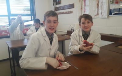 Primary Science classes for 5th Class