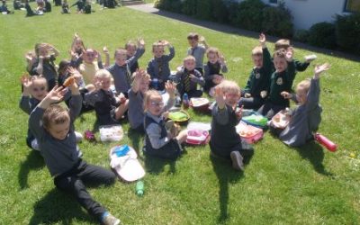 School Picnic in the Sunshine