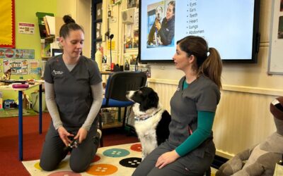 A visit from Avondale Veterinary Clinic