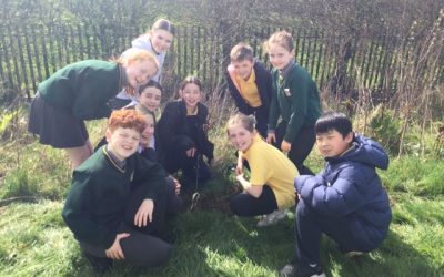 National Tree Week 🌲🌳