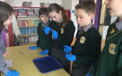 Explorers Education Programme