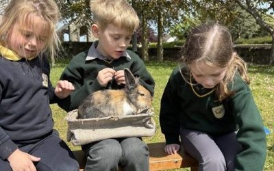 Nore Valley Farm visits St.Joseph’s NS🐇🐑